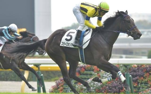 【クイーンC想定】スターズオンアースは横山武史騎手、ショショローザは岩田望来騎手