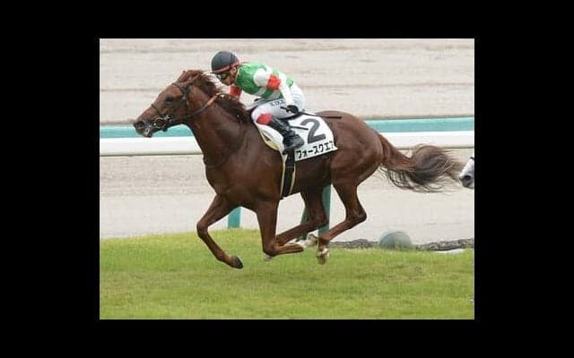 きさらぎ賞は京成杯、根岸Ｓでも穴馬を導き出した「過去データ」から抽出した３頭に要注意
