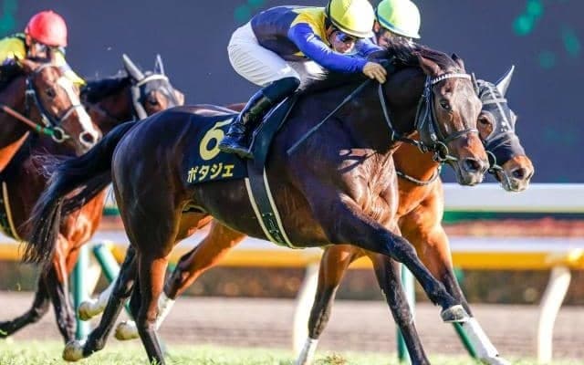 【次走】AJCC5着のポタジェは金鯱賞を視野に