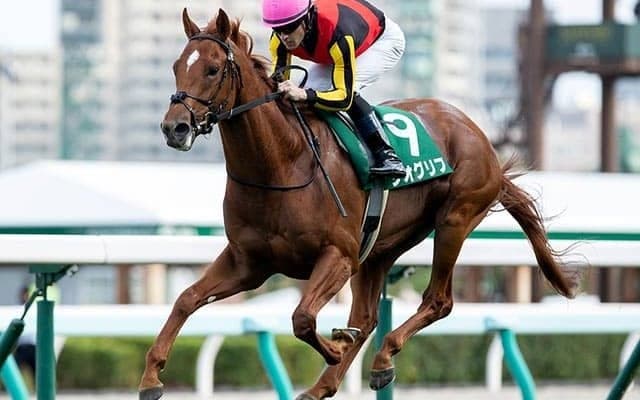 【共同通信杯想定】札幌2歳S覇者ジオグリフ、朝日杯FS3着のダノンスコーピオンなど