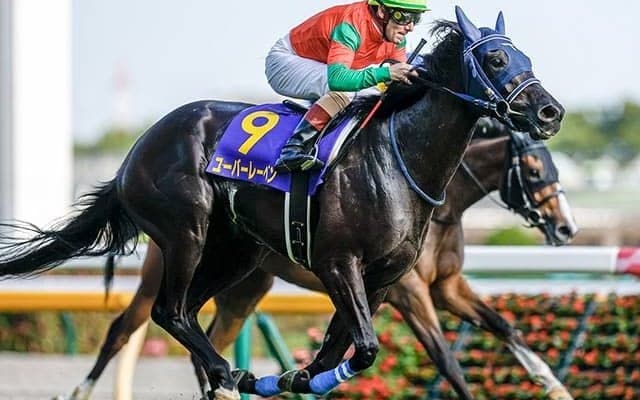 【京都記念想定】ユーバーレーベンはM.デムーロ騎手、マカヒキは岩田望来騎手