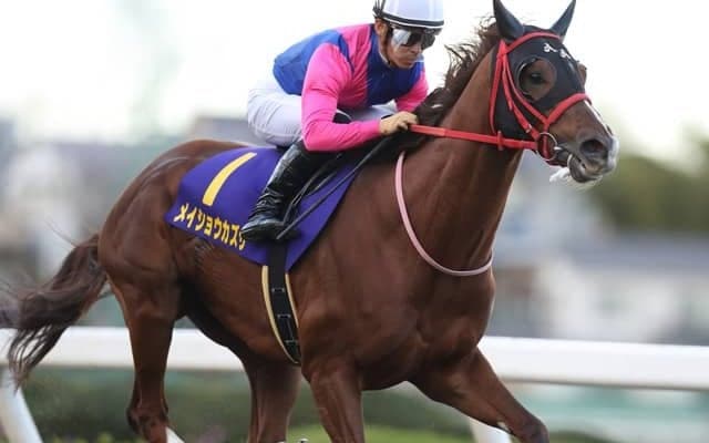 【佐賀記念枠順確定】メイショウカズサは大外8枠11番、ケイアイパープルは6枠6番