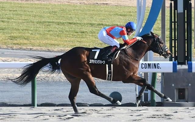 【アルデバランS結果】復帰初日の福永祐一騎手がスマッシングハーツを勝利に導く