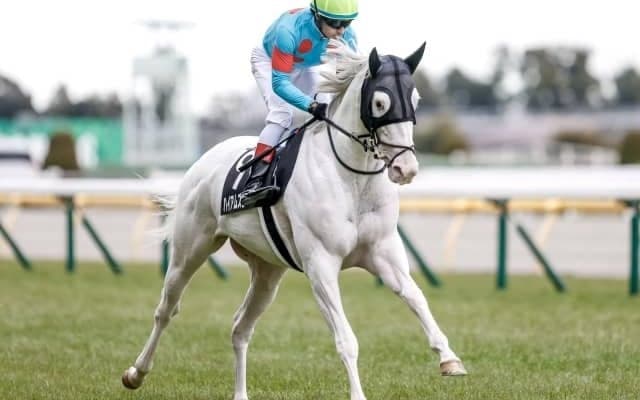 【東京新聞杯】流れをつくる馬がいると簡単には差せない芝状態/万哲の馬場予報