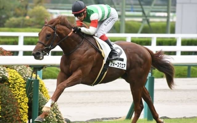 【WIN5予想】東京新聞杯は臨戦過程や馬齢に注目したい一戦