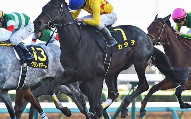 【東京新聞杯予想】前走のレース選択が明暗を分ける!? 格重視もフレッシュさがポイントに