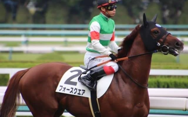 【きさらぎ賞】フォースクエア陣営「操縦性が優れている」/ねぇさんのトレセン密着