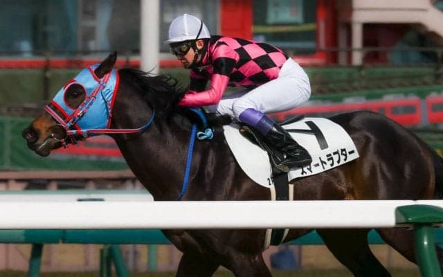 【中京2R】武豊 スマートラプターが初勝利