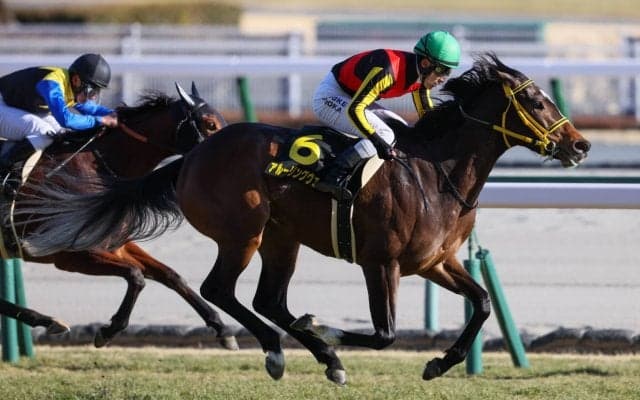 【エルフィンS】アルーリングウェイが好位から抜け出す