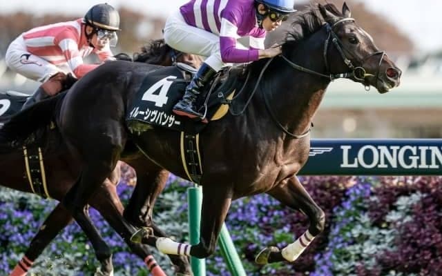 【本日の注目ポイント】東京で東京新聞杯、中京ではきさらぎ賞