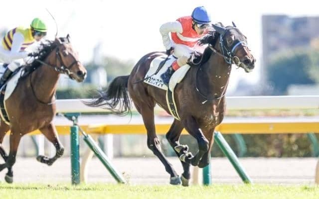 【きさらぎ賞予想】クラシックにつながる重要な一戦、成長著しいあの馬に期待