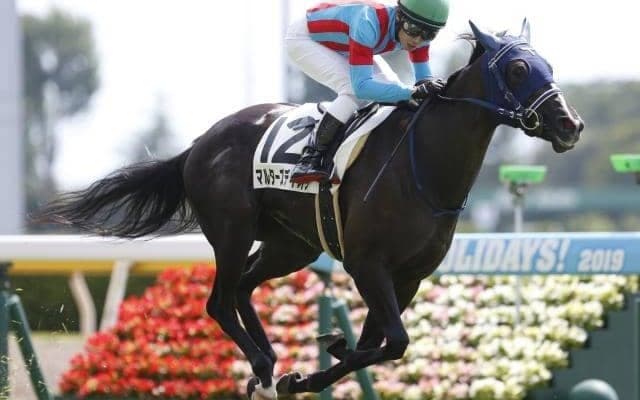 【東京新聞杯予想】マイル王への第一歩、波乱の別定重賞を制すのは