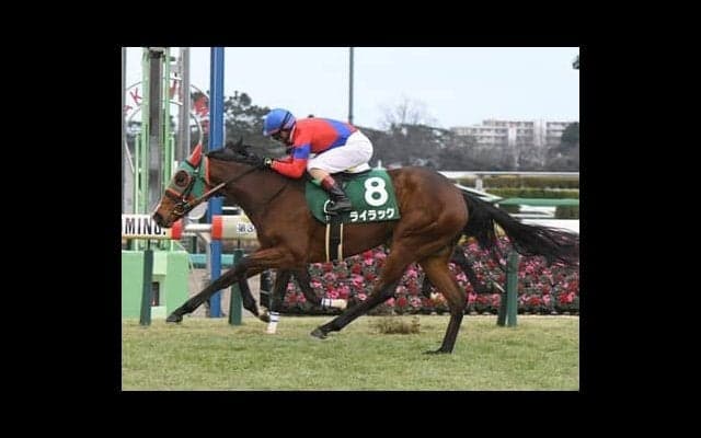 フェアリーＳを豪快に勝ちきったライラック。その強さに陣営も「想像以上だった」と唸った