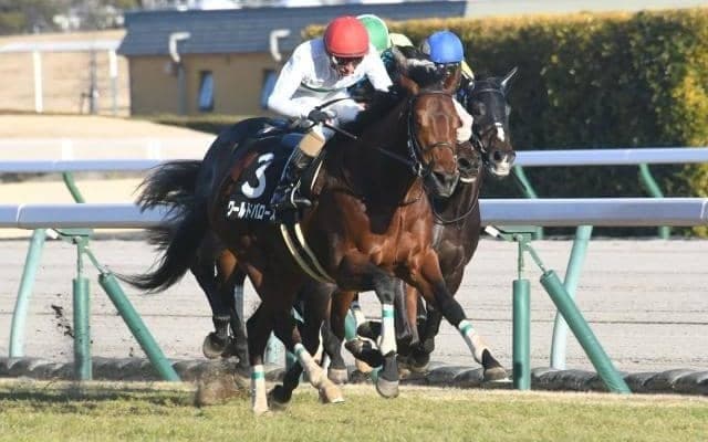 【東京新聞杯予想】1番人気信用度低め＆内枠有利！ 狙える穴馬は前走3勝クラス勝ち馬か？
