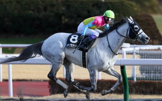 【瀬戸S】武豊 ハヤブサナンデクンが人気に応える