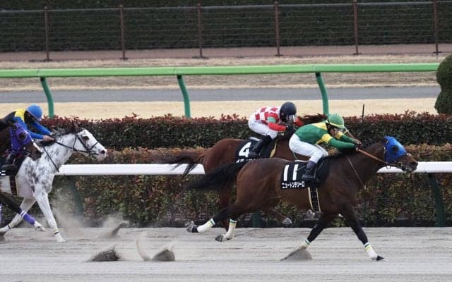 【銀蹄S】ニュートンテソーロが豪快な差し切り