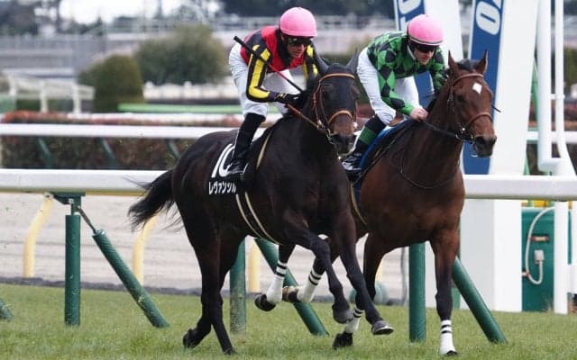 【ゆりかもめ賞】レヴァンジルが人気に応える