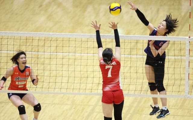 Vリーグの試合結果一覧と順位（V2男女・2月6日）