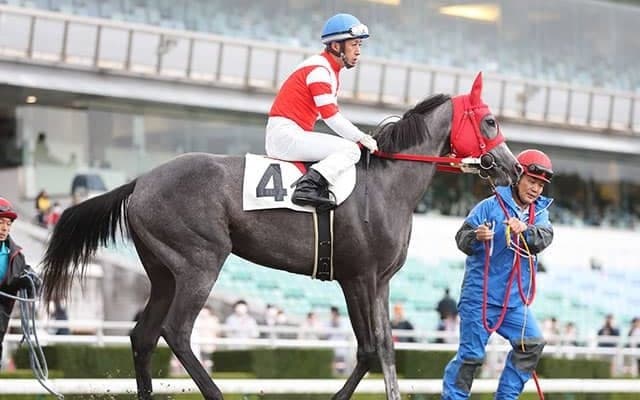 【地方競馬】オグリキャップの孫娘　笠松競馬デビュー戦は6着