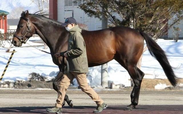 2022年種牡馬展示会シリーズ開始 イーストスタッド種牡馬展示会