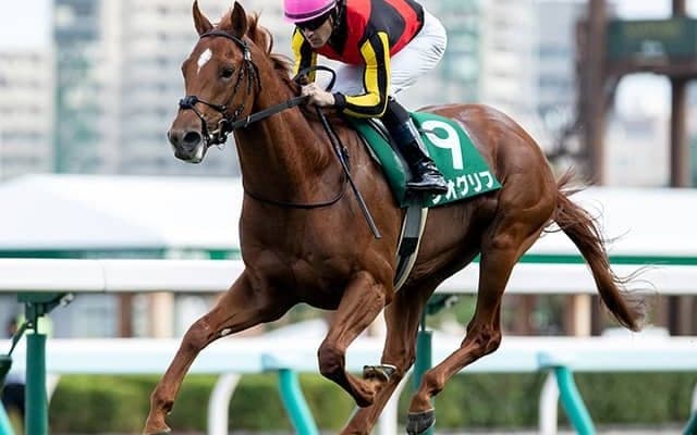 【AI予想・共同通信杯】巻き返しはある!? 人工知能が選び出した出世レースの「◎」候補は…