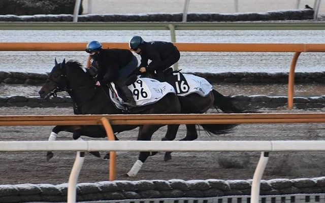 【共同通信杯想定騎手】ダノンスコーピオンは川田将雅騎手、ジオグリフはC.ルメール騎手
