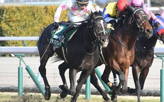 グラスワンダーに似た母方の血統構成を有するマテンロウレオが重賞初V