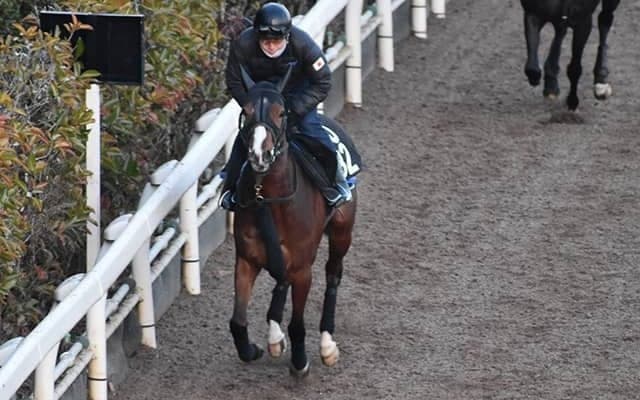 【クイーンC想定騎手】ベルクレスタは松山弘平騎手、スターズオンアースは横山武史騎手