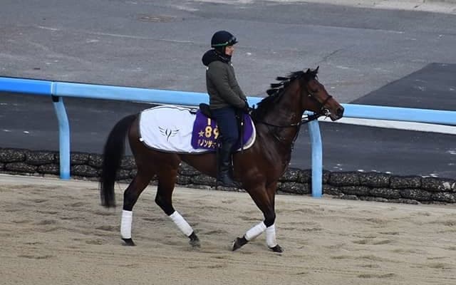 ダノンザキッドなど、先週の入厩情報/栗東トレセンニュース