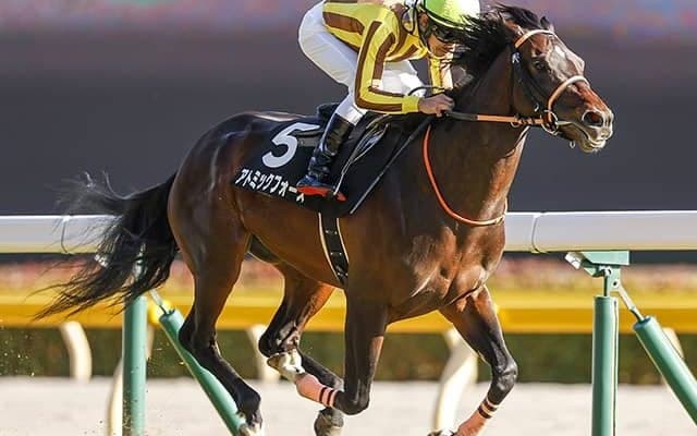 【先週のJRA抹消馬】2020年アメジストS覇者アトミックフォース、メートルダールの半妹トゥルーアートなど