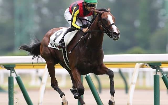 【クイーンC予想オッズ】ベルクレスタが予想1番人気