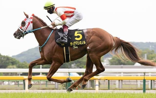 AIは波乱を予想!? 人気馬が幅を利かせるGII戦で指名してきた超人気薄とは？