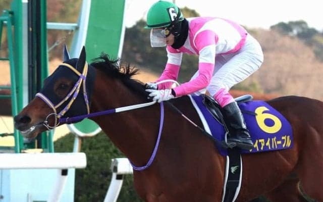 【佐賀記念】藤岡康「自分で押し切る形を選んだ」ケイアイパープルが交流重賞初制覇