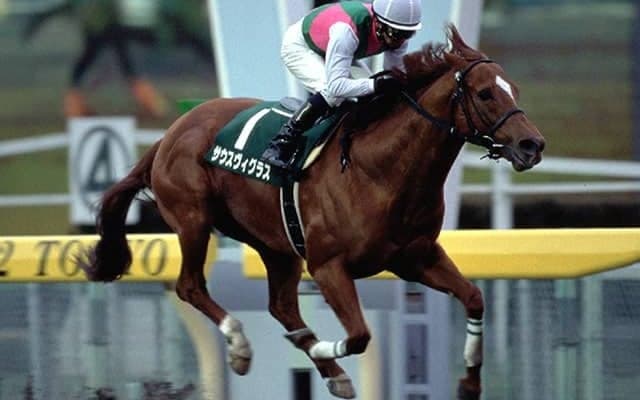 地方競馬におけるサウスヴィグラスの影響力　種牡馬ランキングでは7年連続8度目のトップに