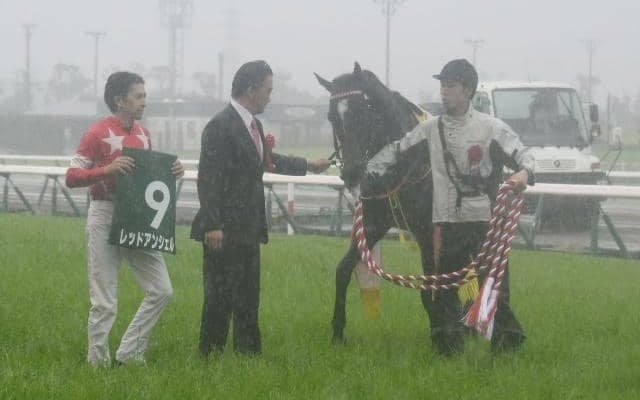 【JRA】重賞2勝のレッドアンシェルが引退　甲賀ファームで乗馬に