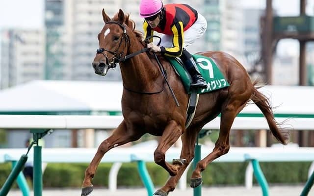 【共同通信杯「見逃せない調教師」ベスト3】東京芝1800mで3番人気以内なら複勝回収率105％ 人気の○○厩舎は買い！