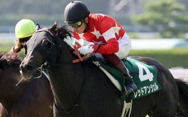 レッドアンシェルが競走馬登録抹消