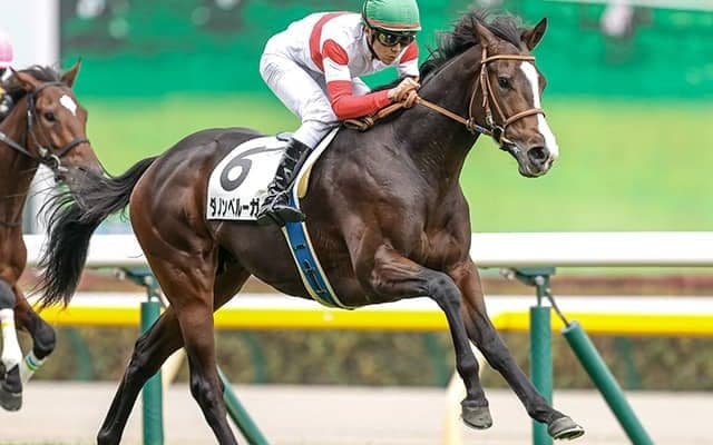 【共同通信杯展望】出世の登竜門、あの馬の重賞制覇を期待したい