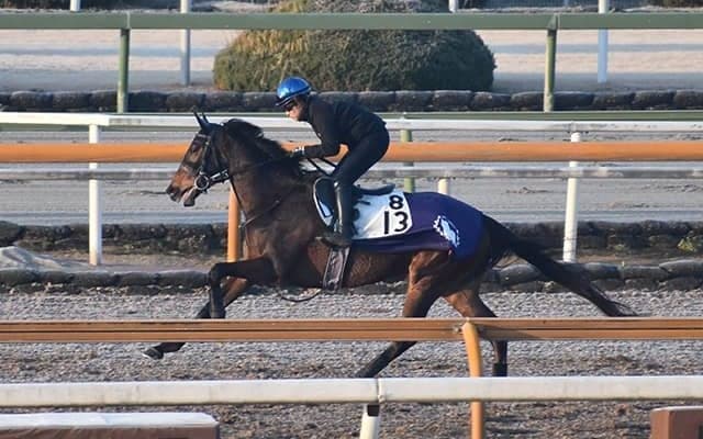 【京都記念「見逃せない調教師」ベスト3】阪神芝2200mのGIで大活躍。このコースで狙うべき調教師は？