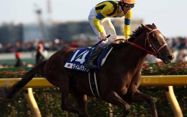 タイムパラドックスが死亡　現役時代にGI級競走5勝