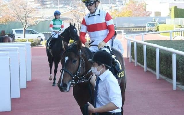 【共同通信杯出走馬・騎手確定】ダノンスコーピオン＆川田将雅騎手、ジオグリフ＆C.ルメール騎手など11頭