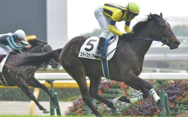 【クイーンC出走馬・騎手確定】スターズオンアース＆横山武史騎手、ベルクレスタ＆松山弘平騎手など16頭