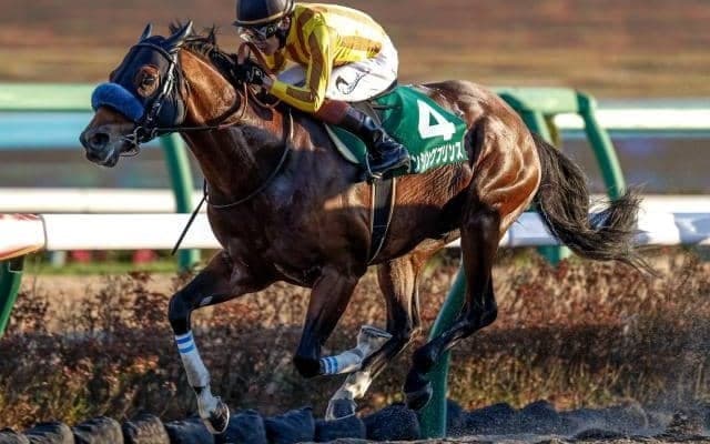 【リヤドダートスプリント】ダンシングプリンスはルメール騎手で参戦