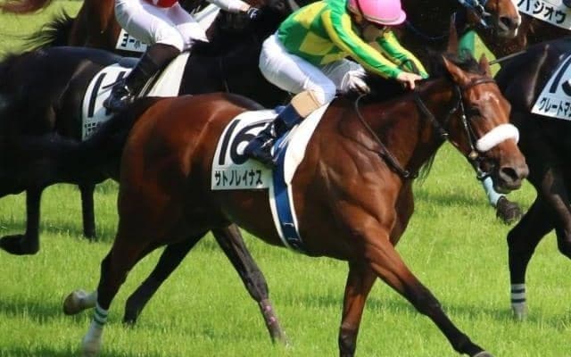 【JRA】昨年の桜花賞2着馬サトノレイナスが登録抹消