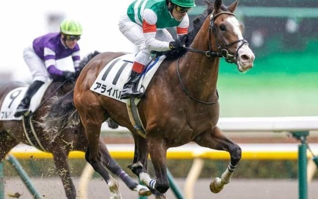 【次走】京成杯4着のアライバルはルメール騎手でスプリングSへ