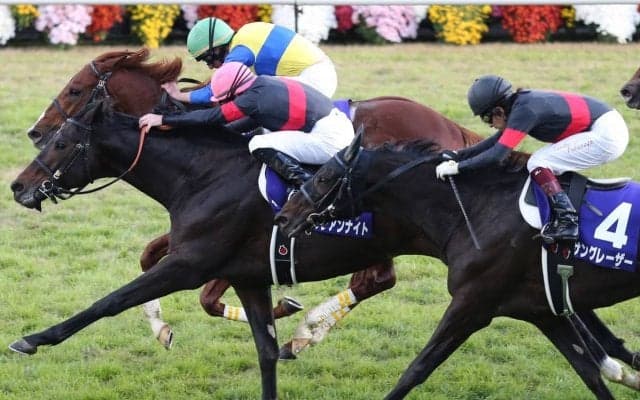 ペルシアンナイトが競走馬登録抹消