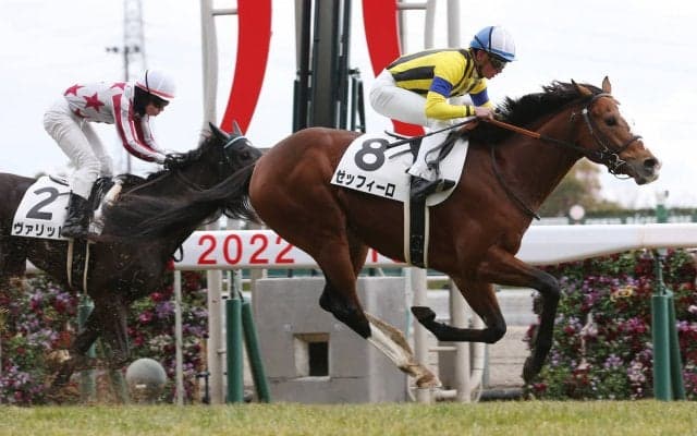 【新馬/中京6R】ディープ産駒 ゼッフィーロがデビューV