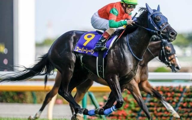 【京都記念枠順確定】ユーバーレーベンは5枠6番、レッドジェネシスは7枠10番