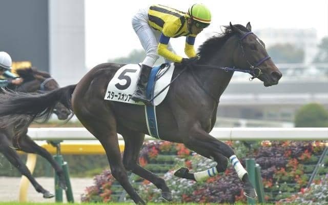 【今日の注目ポイント】阪神開催が開幕　東京で牝馬の出世レース・クイーンC