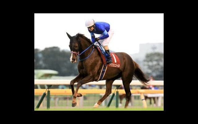 阪神開催で先行優位に拍車がかかった京都記念。ベテランの大穴２頭が粘り強さを発揮か